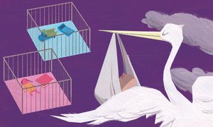 Genderrollen door A.Richard Allen