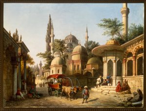 Gezicht op een moskee in Istanbul