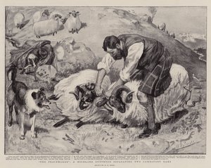 De Vredestichter, een Hooglandse Herder die twee Vechtende Rams Scheidt door A. G. Small