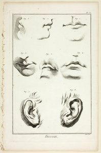 Ontwerp: Gezichtsanatomie uit Encyclopédie