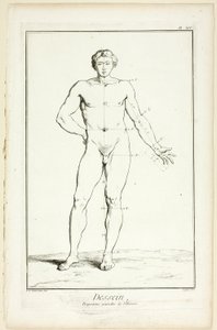 Ontwerp: Algemene Verhoudingen van de Man, uit Encyclopédie
