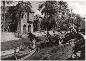 Serai Creek, Basra, Irak door A. Kerim