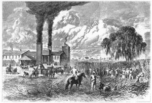 Suikerplantage, New Orleans, 1870 door A. R. Ward