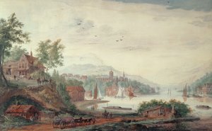Gezichten op de Rijn