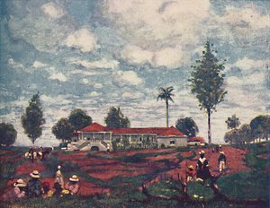 Een Koffie Fazenda, 1916