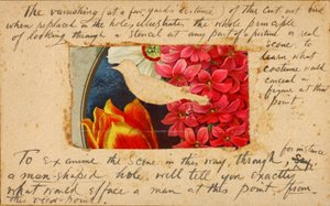 Vogelstencil, studiemap voor boek Concealing Coloration in the Animal Kingdom door Abbott Handerson Thayer