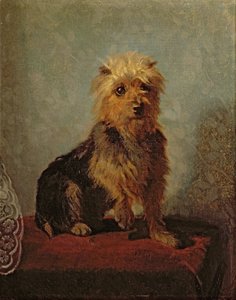 Chadwicks Hond, 1874