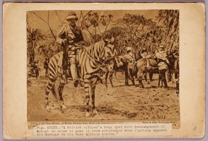 Paard en kruiser gecamoufleerd, studiemap voor boek Concealing Coloration in the Animal Kingdom door Abbott Handerson Thayer