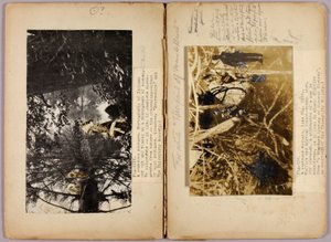 N. Amerikaanse Indianen, studiemap voor boek Concealing Coloration in the Animal Kingdom