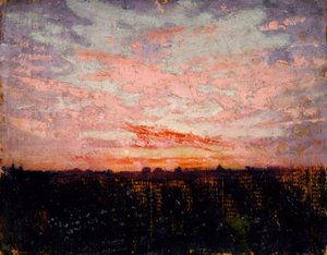 Zonsopgang of zonsondergang, studie voor boek, Concealing Coloration in the Animal Kingdom