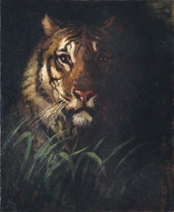 Kop van een tijger door Abbott Handerson Thayer
