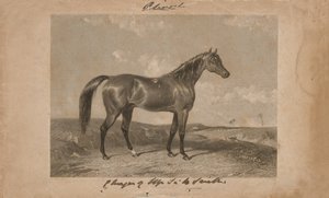 Aliwal, het eigendom van Sir Harry Smith, Bart