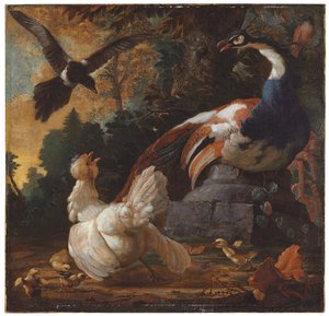 Een pauw, pluimvee en een ekster in een landschap, 1720