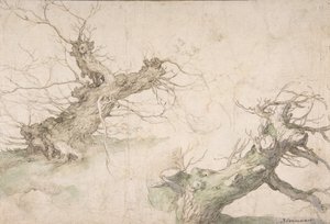 Studies van Twee Knotwilgen, Verso: Breed Landschapsperspectief