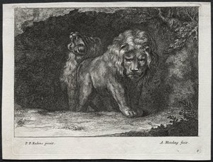 Verschillende Leeuwen door Abraham Blooteling