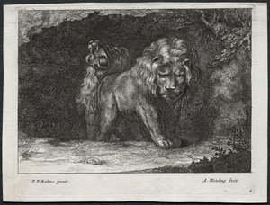 Verschillende Leeuwen door Abraham Blooteling