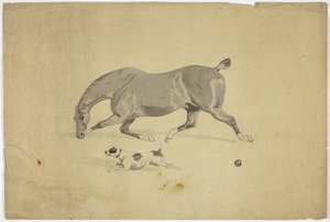 Rennend paard en hond door Abraham Cooper