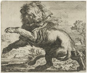 Leeuw en slang in gevecht