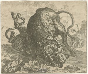 Luipaard en stier