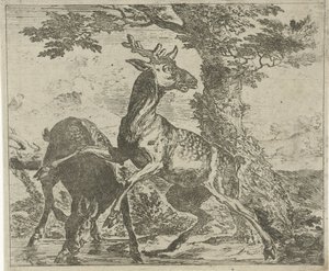 Opschrikkende herten Verschillende dieren (serie)