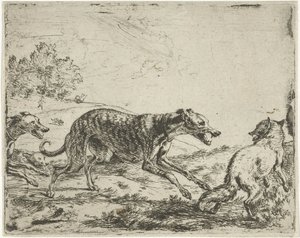 Vos en de drie honden