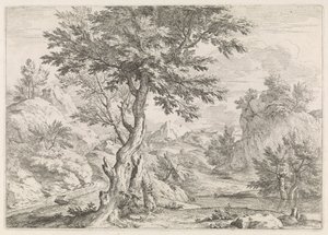 Heuvelachtig landschap met rotsen