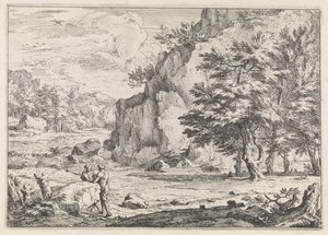 Landschap met rots
