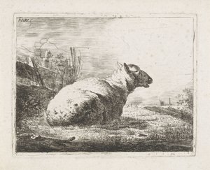 Liggend schaap
