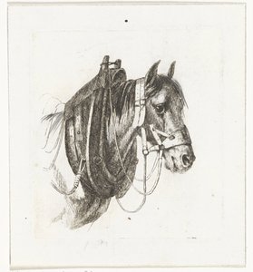 Paardenhoofd met hoofdstel, gareel en zadel