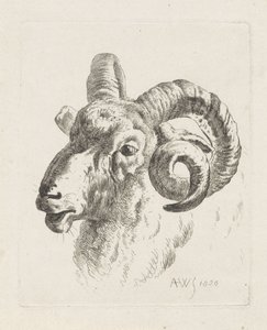 Ramskop naar links door Abraham Hendrik Winter