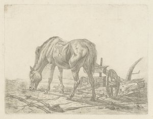 Uitgespannen paard bij een ploeg