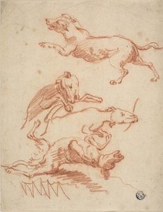 Schetsen van Stoeiende Honden door Abraham Hondius