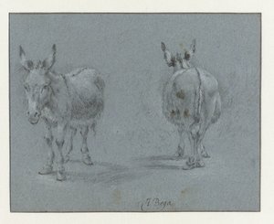 Twee studies van een ezel, van voren en van achteren gezien door Abraham Jansz Begeyn