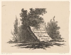Steen in landschap