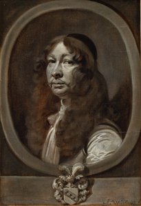 Heinrich von Delwig, Zweedse kolonel