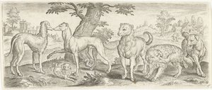Honden Dieren (series title) door Abraham de Bruyn (possibly)