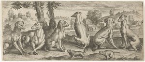 Honden door Abraham de Bruyn (possibly)