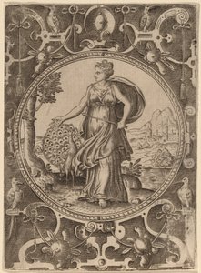 Juno door Abraham de Bruyn