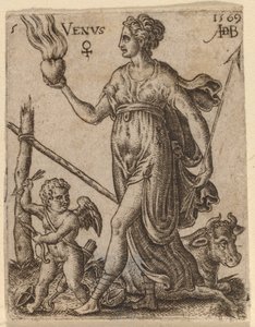 Venus door Abraham de Bruyn