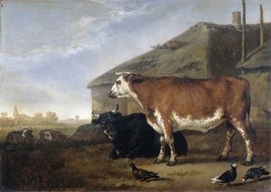 Vee door Abraham van Calraet