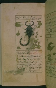 Constellaties van de Dierenriem: Schorpioen, de Schorpioen, uit Talim dar marifat i taqvuim, 1498 (903 Hijra) door Abu Jafar al Tabari