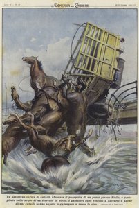 Een vrachtwagen vol paarden in een ongeluk in Biella