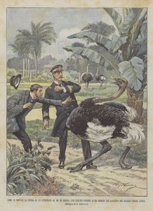 Hoe het nieuws van een aanslag op de koning van Griekenland zich verspreidde, een struisvogel rent koning George omver