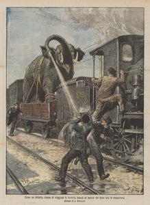 Hoe een olifant, moe van het reizen per trein, de voortgang van de trein die hem vervoerde verhinderde door Achille Beltrame