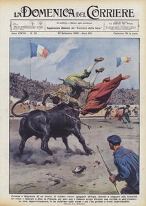 Geluk en ongeluk van een torero