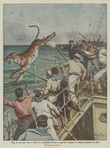 Ontsnapping van een koninklijke tijger aan boord van een stoomschip op weg naar Amerika, achtervolgd, pleegt zelfmoord door in zee te springen