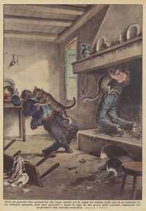 Waakzame katten