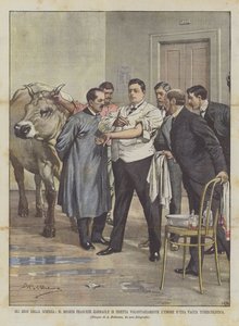 De Helden Van De Wetenschap, De Franse Arts Garnault Injecteert Zichzelf Vrijwillig Met Tuberculeuze Koeienvloeistof door Achille Beltrame