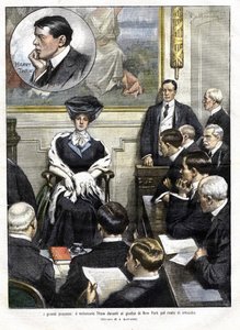 Het proces van Harry Thaw in New York in 1907. Harry Thaw, zoon van een familie van groothandelaren, vermoordde in 1906 de architect Stanford White, ex-minnaar van zijn vrouw Evelyn. Omslag van de 