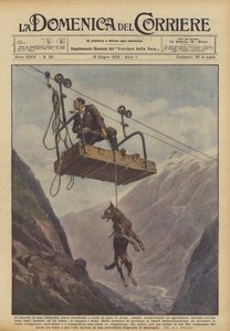 Het karretje van een kabelbaan daalde af in de vallei bij Avise (Aosta) met